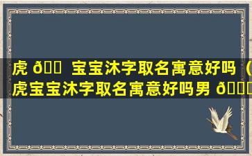 虎 🐠 宝宝沐字取名寓意好吗（虎宝宝沐字取名寓意好吗男 🕊 孩）